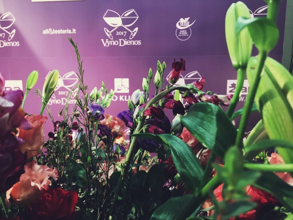 In vino veritas. Tiesa atskleista “Vyno dienose”
